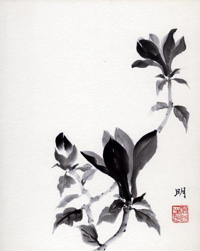 �u�؉Z�v ��t��� ��㖾�� ��